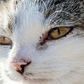banner 3
