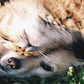 banner 2
