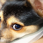 banner 1