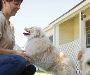 Clínica Veterinaria Akos mujer con un perro